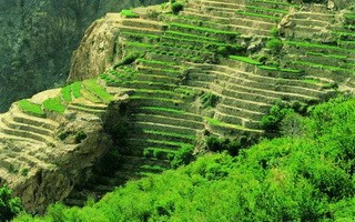 Jabal Al Akhdhar Jabal Al Akhdhar